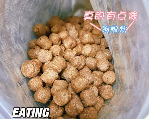 《十二战纪》游戏中狗粮刷法详解（快速获得狗粮）