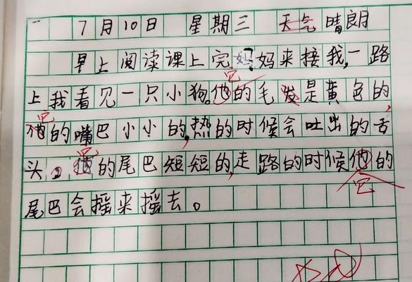 《流浪日记吸烟流心得分享》（以游戏为主）