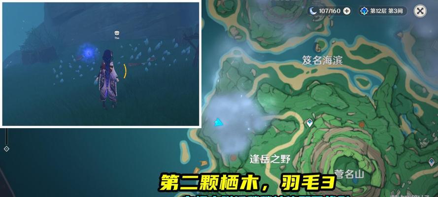 原神元素专家第二辑（探索世界）