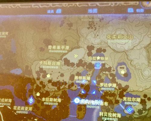幻塔达氏鲟食材分布位置在哪里？如何找到幻塔中的达氏鲟？