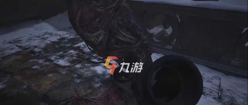 生化危机8胶片顺序攻略是什么？如何正确排序获取最佳游戏体验？