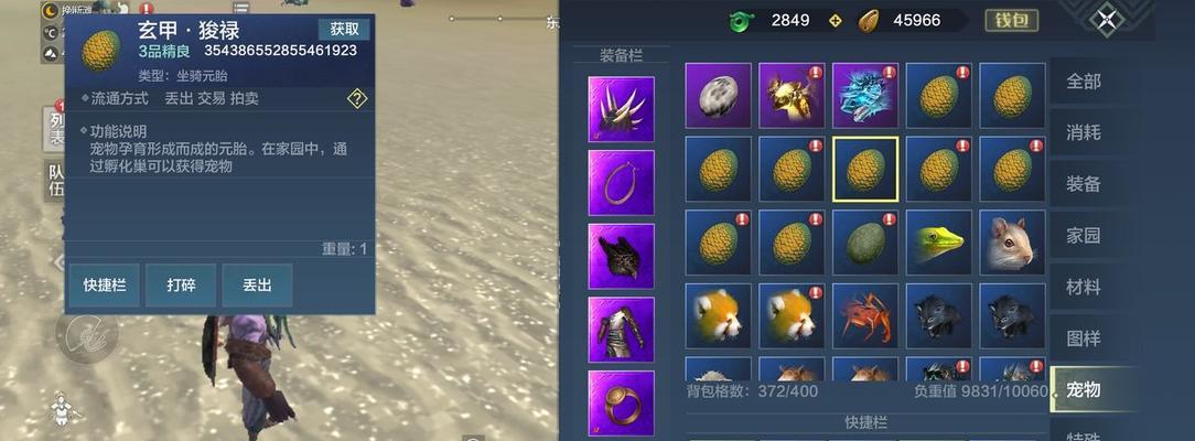 妄想山海宠物蛋孵化全攻略？步骤和技巧是什么？