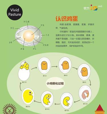 迷你世界水瓶倒水操作指南？