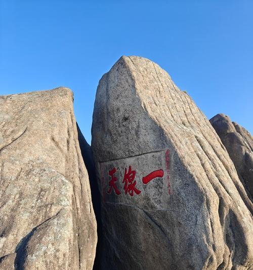 九华老虎宠物选择技巧有哪些？