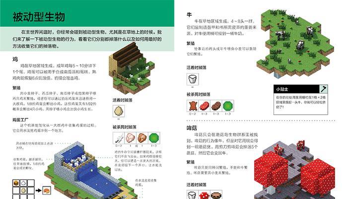 我的世界中如何调整外观？有哪些外观调整选项？