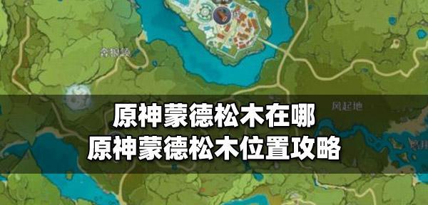 原神松木采集点在哪里？