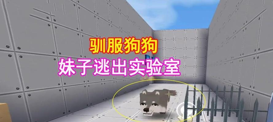 迷你世界中如何驯服狗狗？