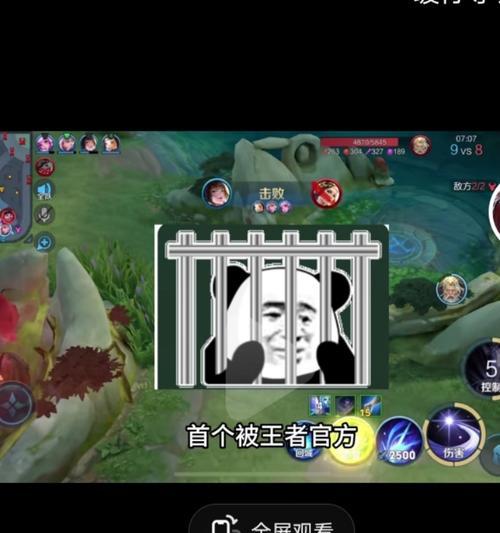 王者荣耀中教官号被判刑的原因是什么？