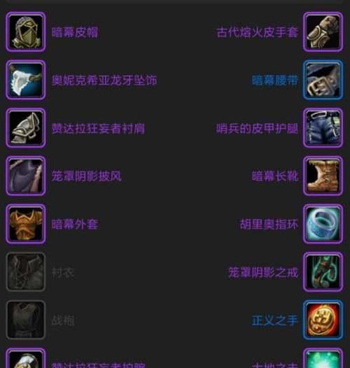 魔兽世界中盗贼职业如何使用？有哪些技巧和策略？