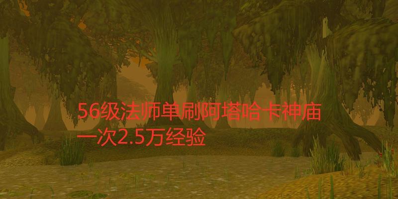 法师快速刷经验的方法有哪些？
