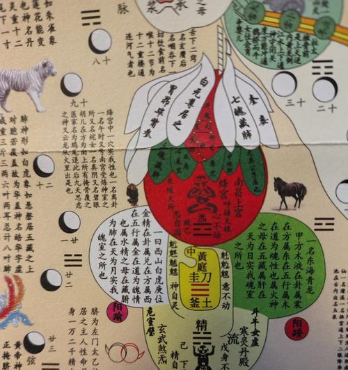 完美世界中的气修有何作用？如何修炼？